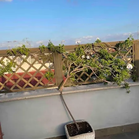 Terrazza Talenti *