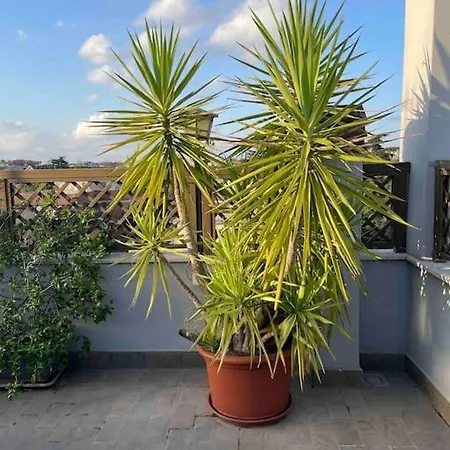 Apartment Terrazza Talenti