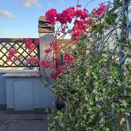 Terrazza Talenti Διαμέρισμα